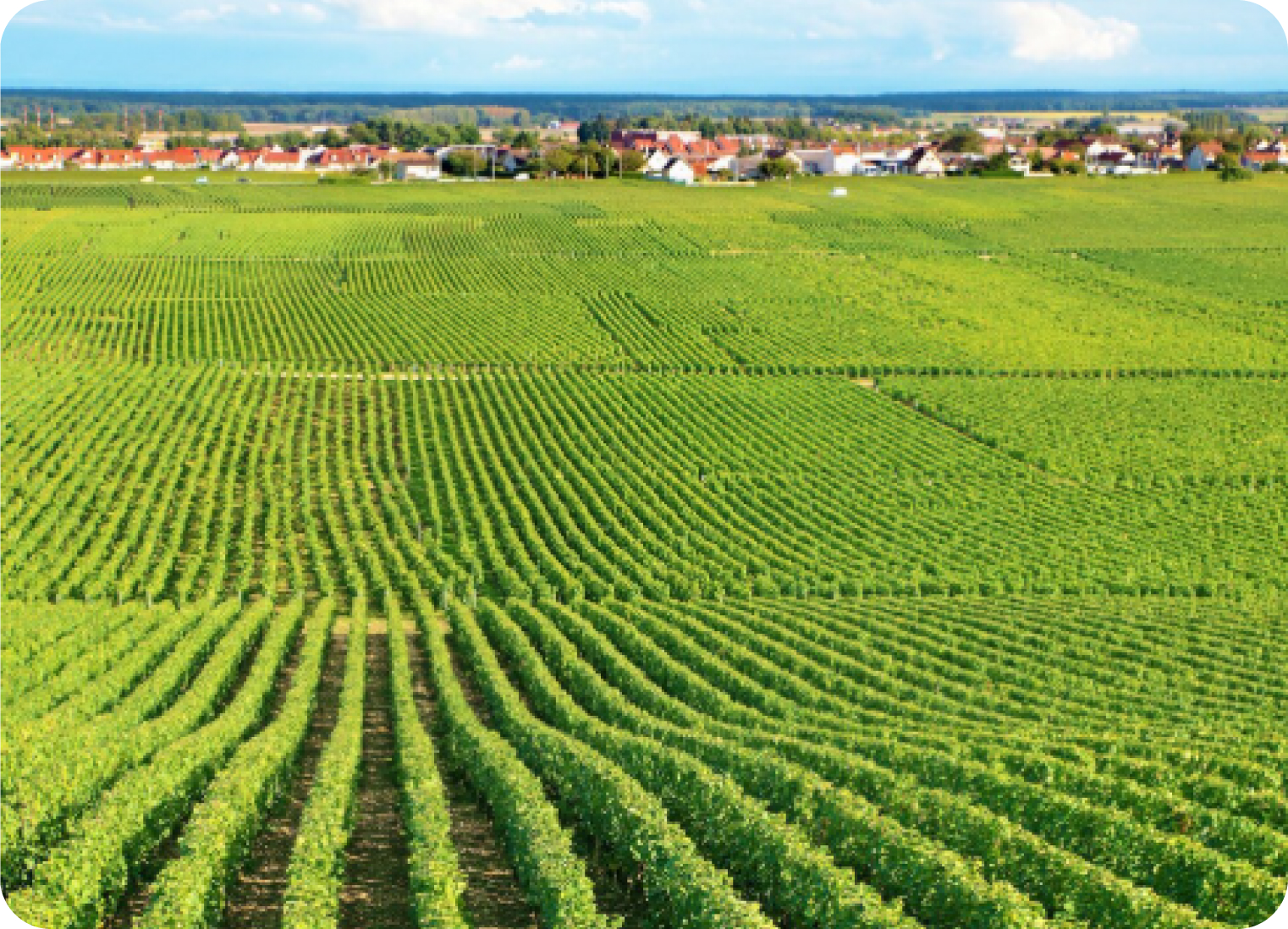 Landbouwgrond van bovenaf