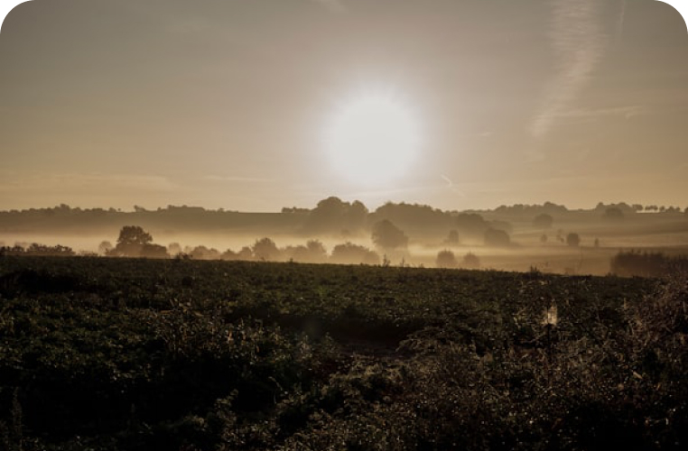Duurzame landbouw