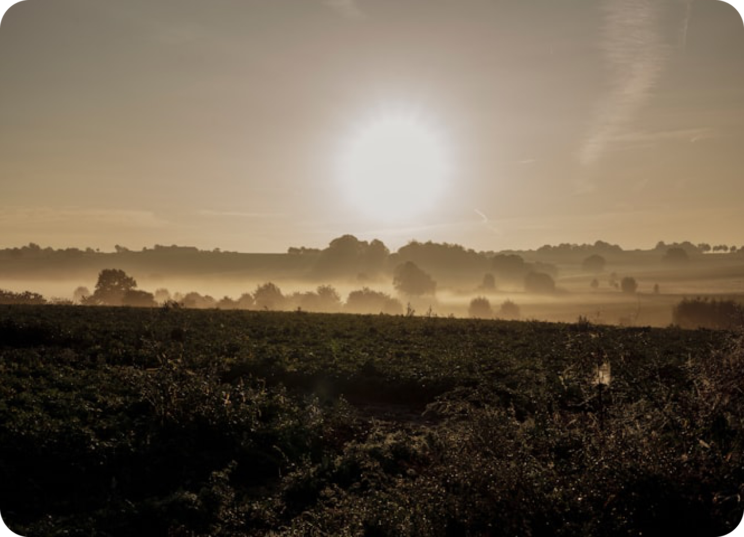 Samenwerking in het landschap